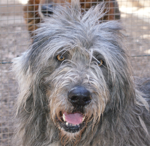 gigio_22.02.2012_n._4.jpg