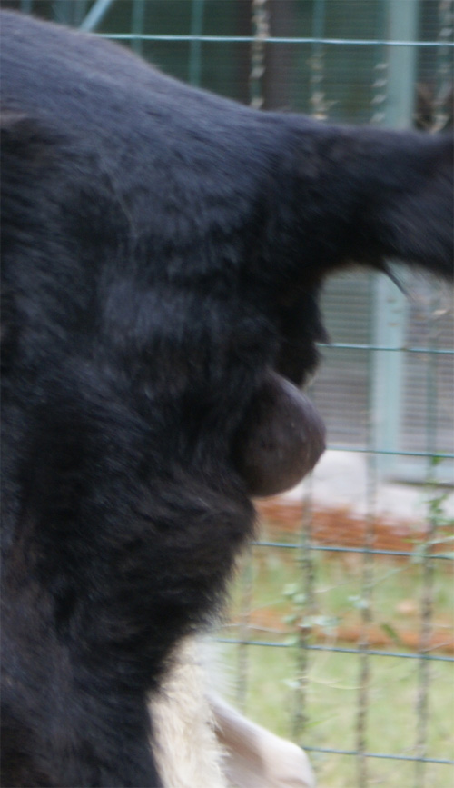 ikeo_2.10.2012_n._2.jpg