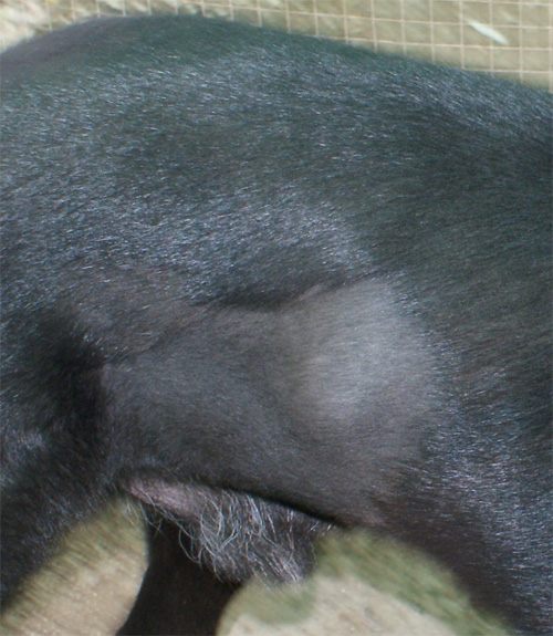 ikeo_6.11.2012_n._2.jpg
