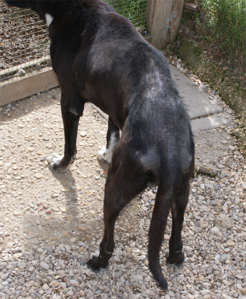 iris_19.04.2012_n._1.jpg