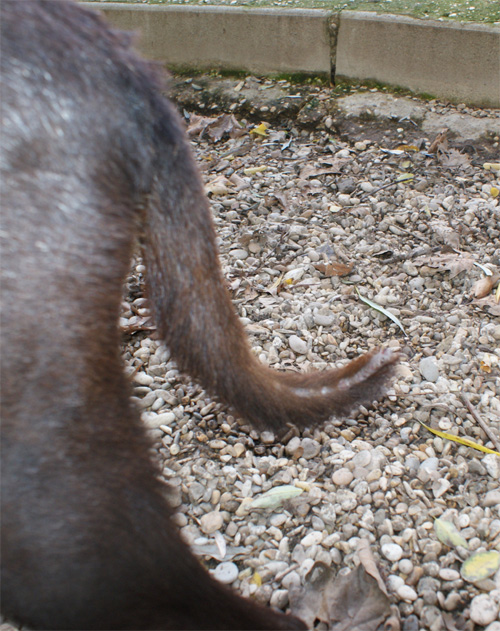 irma_6.11.2012_n._7.jpg