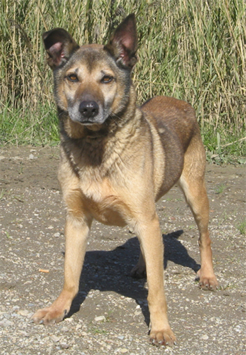 mariuccio_20.02.2009__intero4.jpg