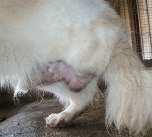 milo_11.10.2012_n._1.jpg