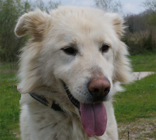 milo_27.03.2011_n._2.jpg
