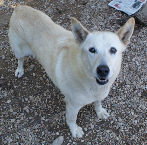penny_11.05.2012_n.1.jpg