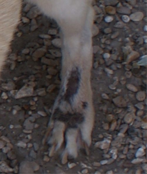 penny_16.07.2012_n._1.jpg