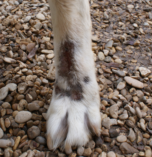 penny_19.04.2012_n._2.jpg