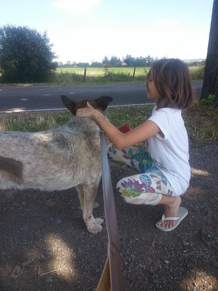 poldo_matr._1434-03_31.05.2014__n.__13.jpg