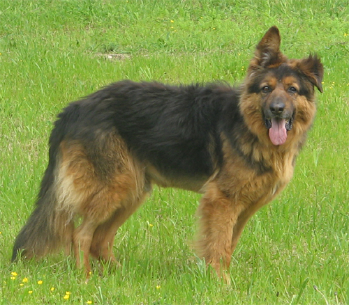 poldo_pt_10.4.2008_intero1.jpg