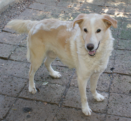 ulisse_08.08.2012_n._1.jpg